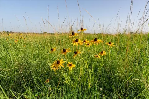 134 Haskell Rd, Quenemo, KS 66528 photo 37