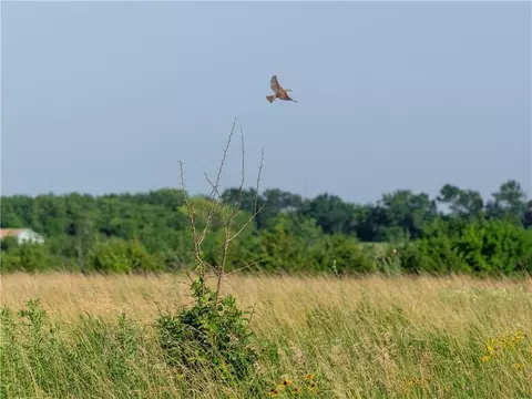 134 Haskell Rd, Quenemo, KS 66528 photo 34