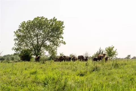 134 Haskell Rd, Quenemo, KS 66528 photo 12