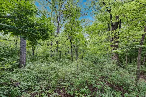 Exterior - 7201 Snow Dr, Holt, MO 64048 photo 5 of 11