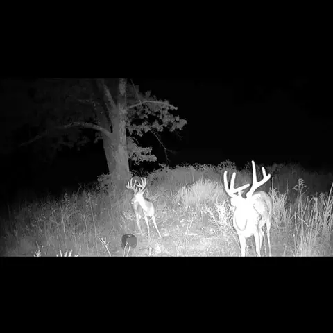 Other - 1210 Waters Rd, Stella, MO 64867 photo 22 of 23