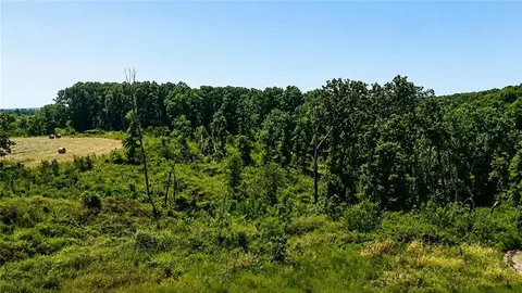 View/Area - 1210 Waters Rd, Stella, MO 64867 photo 2 of 2
