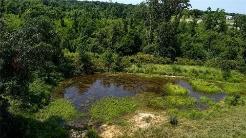 View/Area - 1210 Waters Rd, Stella, MO 64867 photo 1 of 2