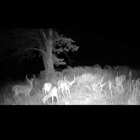 Other - 1210 Waters Rd, Stella, MO 64867 photo 21 of 23