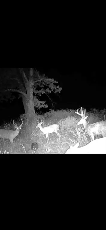 Other - 1210 Waters Rd, Stella, MO 64867 photo 20 of 23