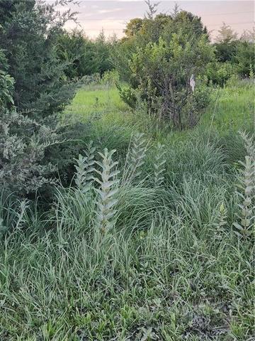 105 Elm St, Linn Valley, KS 66040