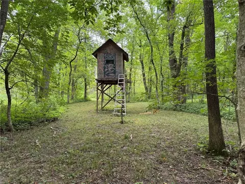 tbd Cedar Ave, Coffey, MO 64636 photo 4