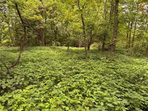 tbd Cedar Ave, Coffey, MO 64636 photo 21