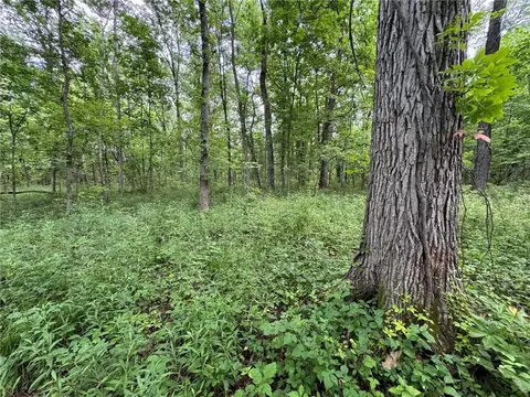 tbd Cedar Ave, Coffey, MO 64636 photo 8