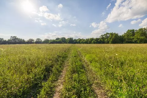 Other - 4900 E 187th St, Belton, MO 64012 photo 5 of 31