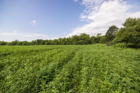lot1 NW 188th St, Holt, MO 64048 photo 21