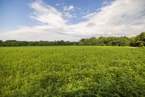lot1 NW 188th St, Holt, MO 64048 photo 19