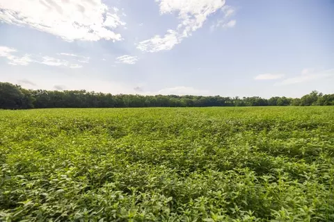 lot1 NW 188th St, Holt, MO 64048 photo 20