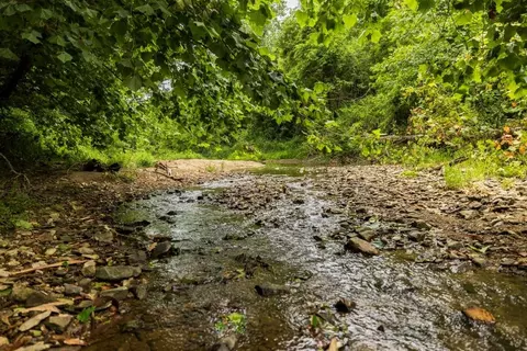 lot3 NW 188th St, Holt, MO 64048 photo 38