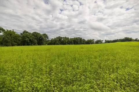 lot3 NW 188th St, Holt, MO 64048 photo 34