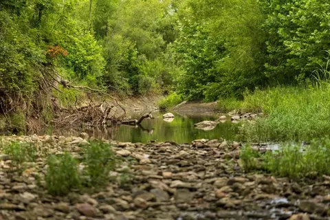 lot3 NW 188th St, Holt, MO 64048 photo 23