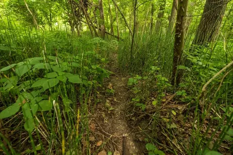 lot3 NW 188th St, Holt, MO 64048 photo 35