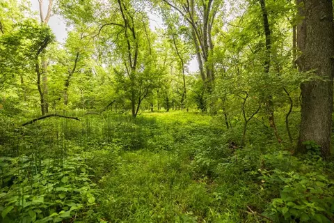lot3 NW 188th St, Holt, MO 64048 photo 41