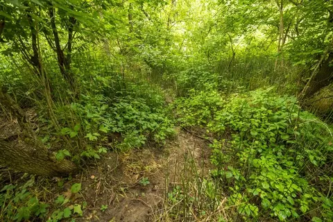 lot3 NW 188th St, Holt, MO 64048 photo 36