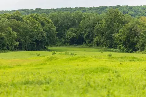 lot3 NW 188th St, Holt, MO 64048 photo 22