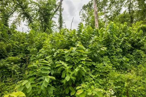 lot3 NW 188th St, Holt, MO 64048 photo 26