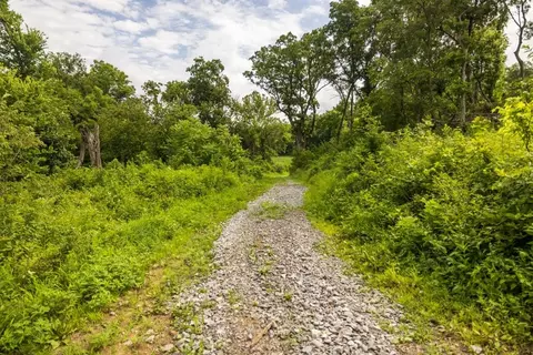 lot3 NW 188th St, Holt, MO 64048 photo 43