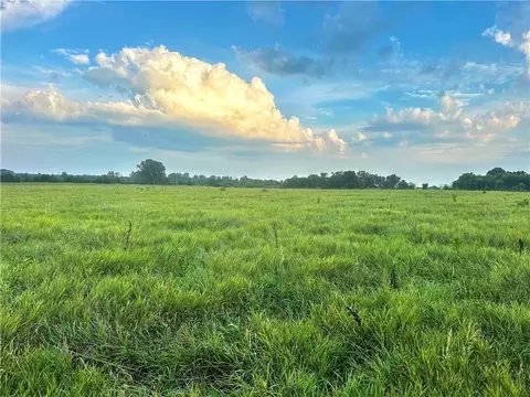 NE 451 Road, Calhoun, MO 65323 photo 52
