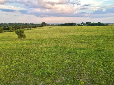 NE 451 Road, Calhoun, MO 65323 photo 43