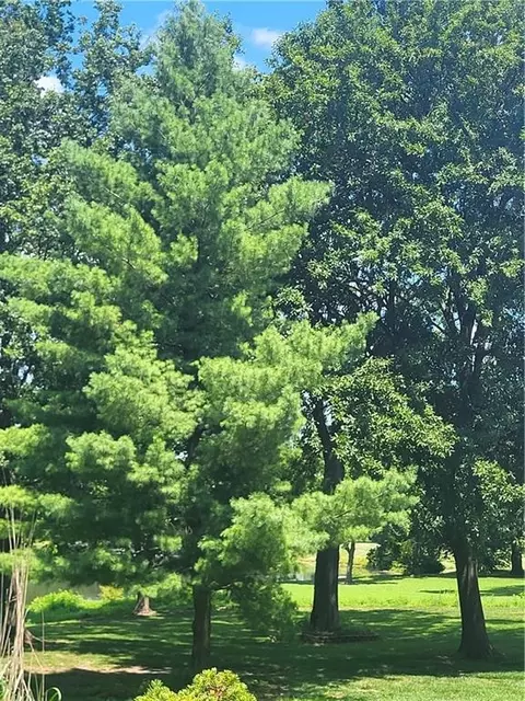 Other - 822 SW Lighthouse Pt, Lees Summit, MO 64082 photo 1 of 9