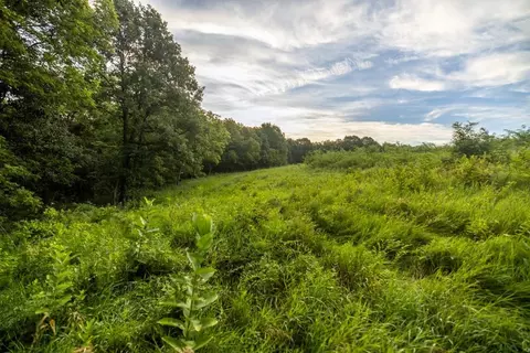 Maple Street, Winston, MO 64689 photo 39