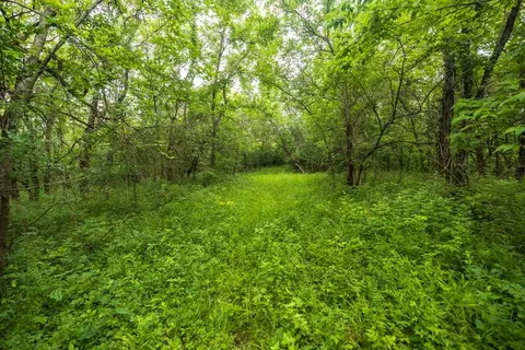Maple Street, Winston, MO 64689 photo 43
