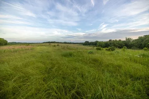 Maple Street, Winston, MO 64689 photo 30