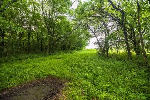 Maple Street, Winston, MO 64689 photo 42