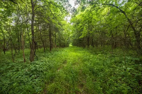 Maple Street, Winston, MO 64689 photo 44