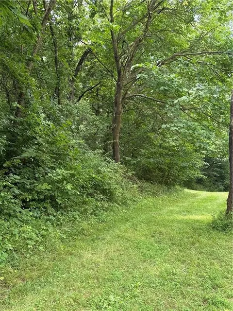 Other - 19607 Fightmaster Rd, Trimble, MO 64492 photo 14 of 15