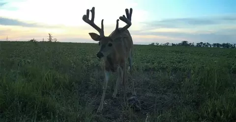 00000 E 261st St, Quenemo, KS 66528 photo 2