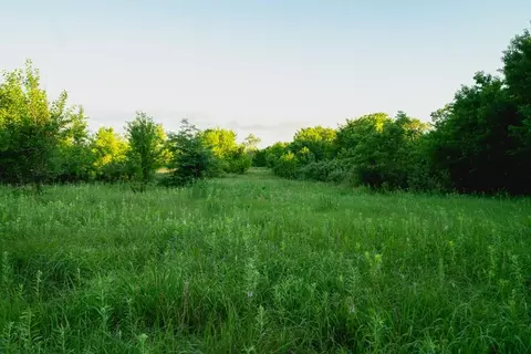 00000 E 261st St, Quenemo, KS 66528 photo 35