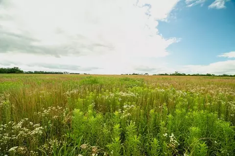 001 E 68 Hwy, Quenemo, KS 66528 photo 10