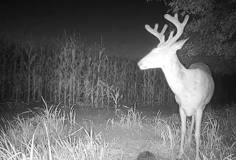 001 E 68 Hwy, Quenemo, KS 66528 photo 36