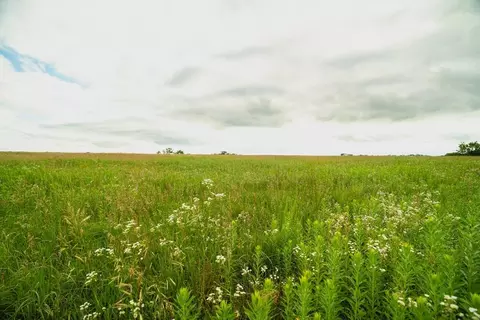 001 E 68 Hwy, Quenemo, KS 66528 photo 9