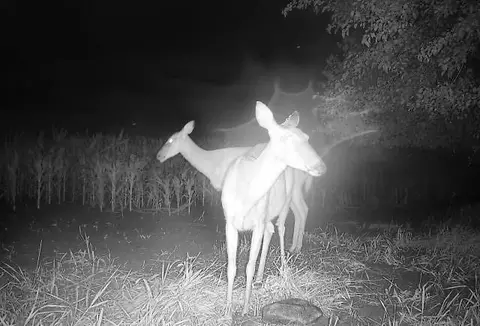 001 E 68 Hwy, Quenemo, KS 66528 photo 43