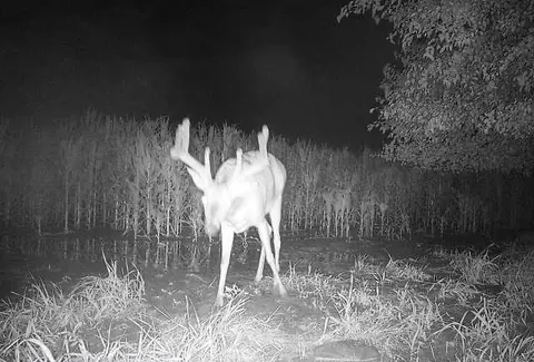 001 E 68 Hwy, Quenemo, KS 66528 photo 24