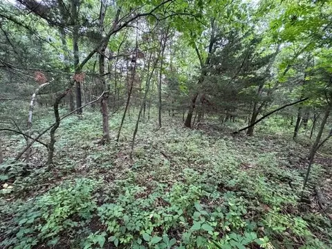 tbd 239th St, Gallatin, MO 64640 photo 16
