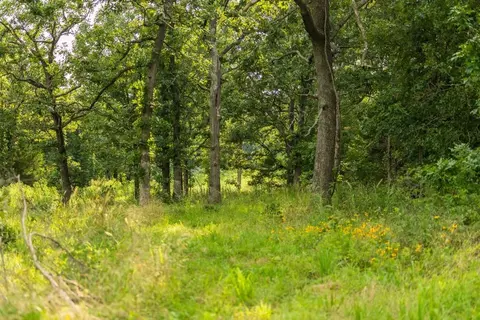NE 100th Road, Lamar, MO 64759 photo 44