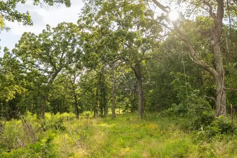 NE 100th Road, Lamar, MO 64759 photo 54