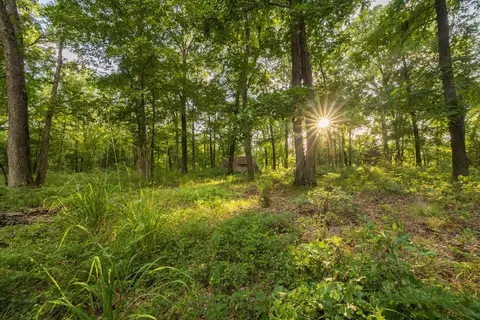 NE 100th Road, Lamar, MO 64759 photo 70