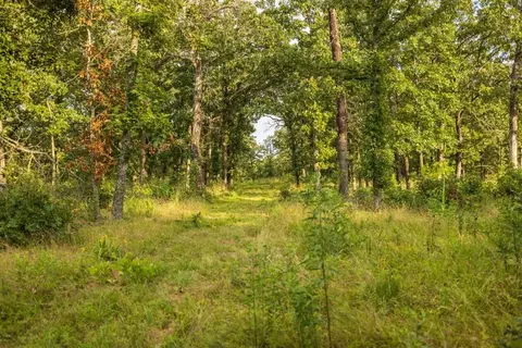 NE 100th Road, Lamar, MO 64759 photo 61