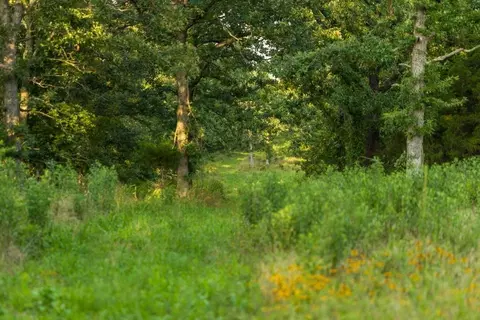 NE 100th Road, Lamar, MO 64759 photo 50