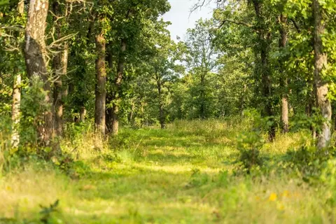 NE 100th Road, Lamar, MO 64759 photo 45