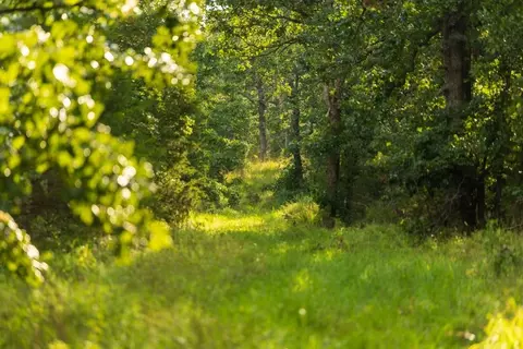 NE 100th Road, Lamar, MO 64759 photo 47
